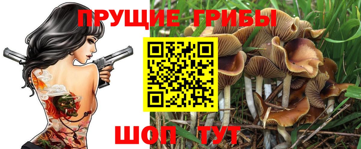 Галлюциногенные грибы Magic Shrooms  Вход с VPN  Якутск 
